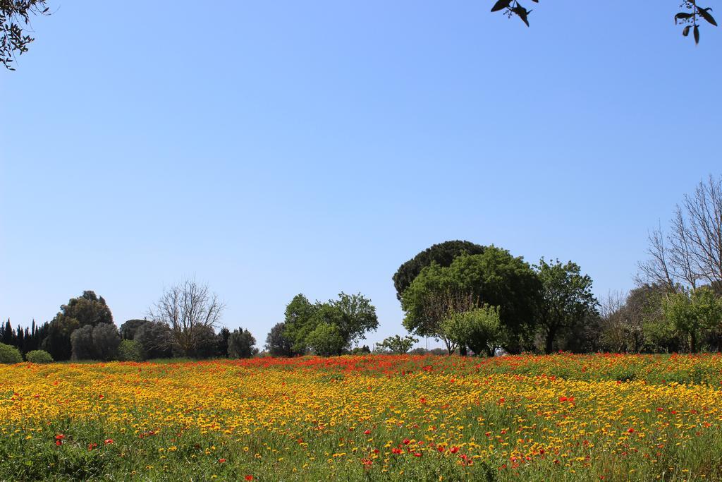 Casina Bardoscia Villa Cutrofiano Bagian luar foto